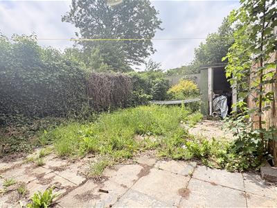 Picture 20